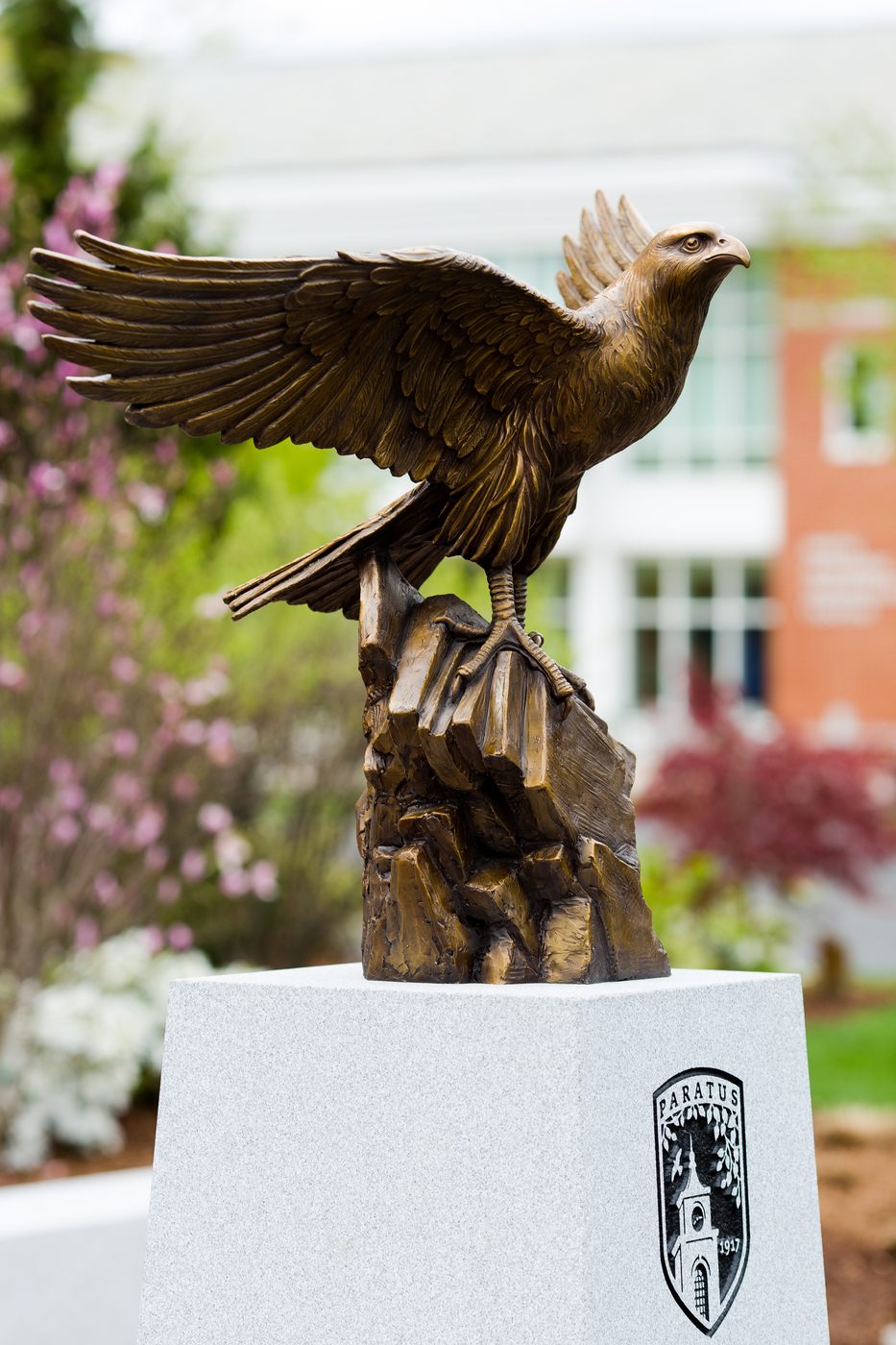 Undergraduate Admission Info For Bentley University